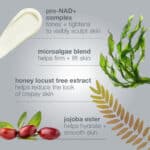 Dermalogica Dynamic skin sculptor
